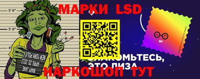 PSILOCYBIN Донской