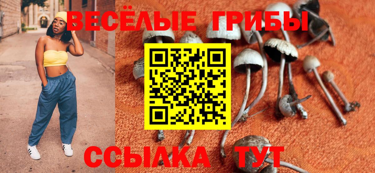 Галлюциногенные грибы Magic Shrooms Ливны